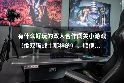 有什么好玩的双人合作闯关小游戏（像双猫战士那样的）。顺便提一句，我是女孩，不玩打打杀杀的游戏！-第1张-游戏信息-龙启网
