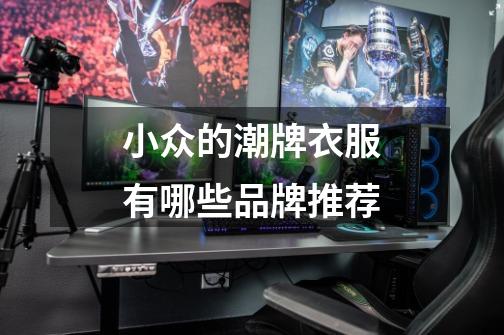 小众的潮牌衣服有哪些品牌推荐-第1张-游戏信息-龙启网