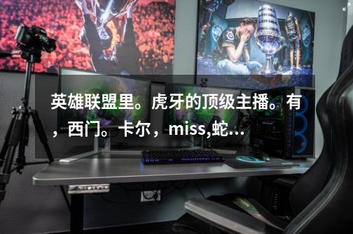 英雄联盟里。虎牙的顶级主播。有，西门。卡尔，miss,蛇哥，董小飒，-第1张-游戏信息-龙启网