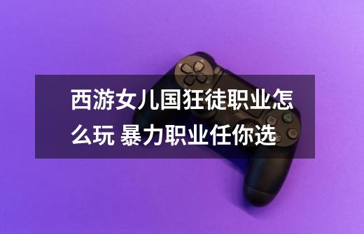西游女儿国狂徒职业怎么玩 暴力职业任你选-第1张-游戏信息-龙启网
