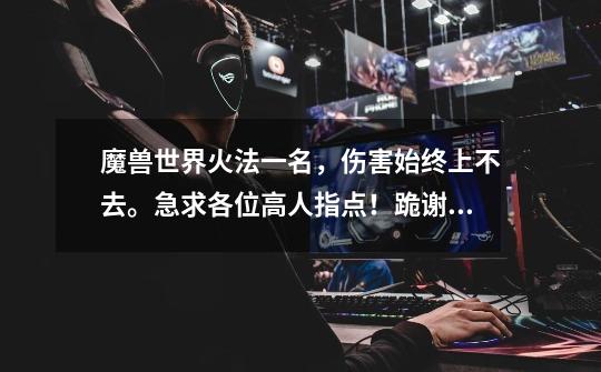魔兽世界火法一名,伤害始终上不去。急求各位高人指点!跪谢!!!!-第1张-游戏信息-龙启网