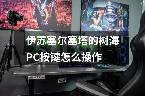 伊苏塞尔塞塔的树海PC按键怎么操作-第1张-游戏信息-龙启网