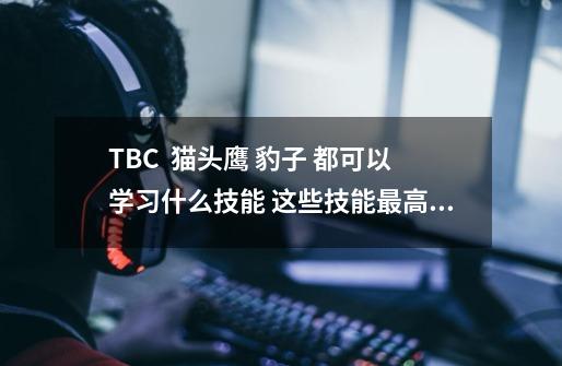 TBC 猫头鹰 豹子 都可以学习什么技能 这些技能最高都有多少级-第1张-游戏信息-龙启网