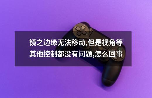 镜之边缘无法移动,但是视角等其他控制都没有问题,怎么回事-第1张-游戏信息-龙启网