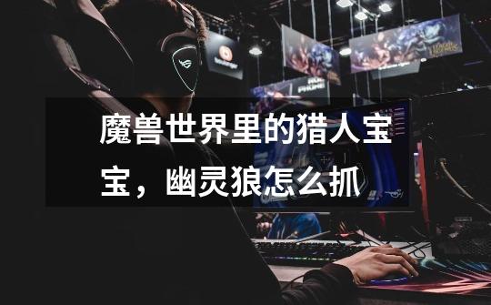 魔兽世界里的猎人宝宝，幽灵狼怎么抓-第1张-游戏信息-龙启网