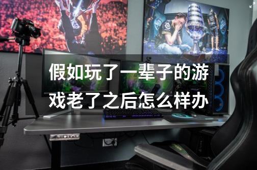 假如玩了一辈子的游戏老了之后怎么样办-第1张-游戏信息-龙启网
