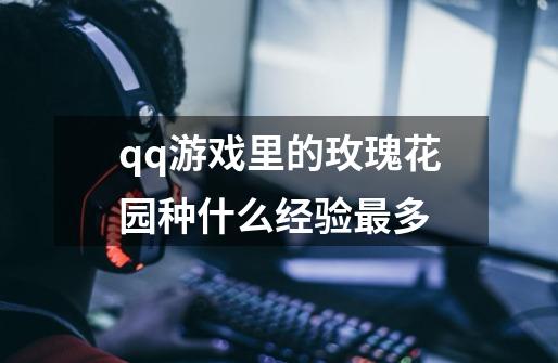 qq游戏里的玫瑰花园种什么经验最多-第1张-游戏信息-龙启网