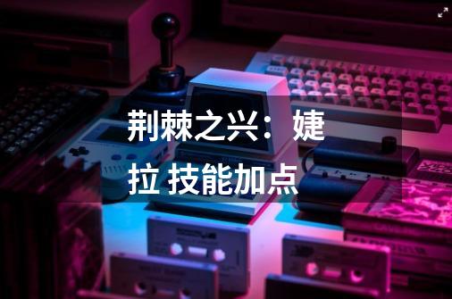 荆棘之兴：婕拉 技能加点-第1张-游戏信息-龙启网