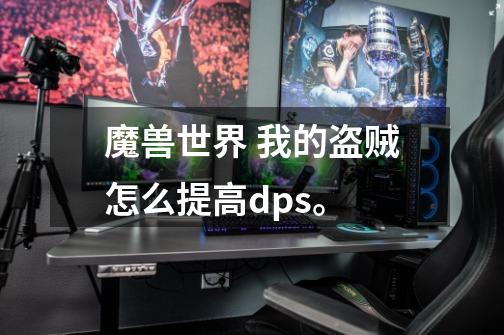 魔兽世界 我的盗贼怎么提高dps。-第1张-游戏信息-龙启网