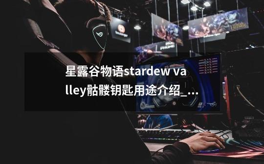 星露谷物语stardew valley骷髅钥匙用途介绍_星露谷物语stardew valley骷髅钥匙用途是什么-第1张-游戏信息-龙启网