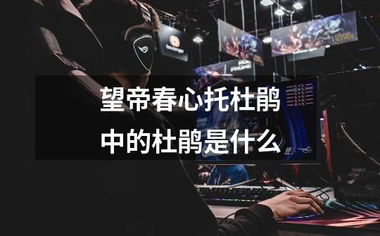 望帝春心托杜鹃中的杜鹃是什么-第1张-游戏信息-龙启网