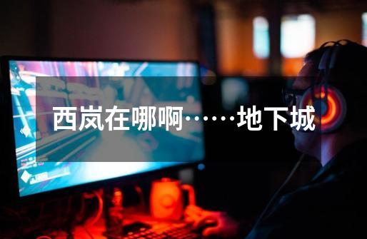 西岚在哪啊……地下城-第1张-游戏信息-龙启网
