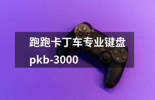 跑跑卡丁车专业键盘pkb-3000-第1张-游戏信息-龙启网