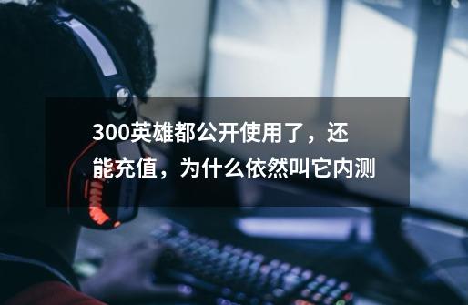 300英雄都公开使用了,还能充值,为什么依然叫它内测-第1张-游戏信息-龙启网
