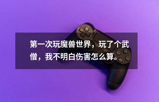 第一次玩魔兽世界，玩了个武僧，我不明白伤害怎么算。-第1张-游戏信息-龙启网