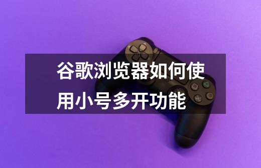 谷歌浏览器如何使用小号多开功能-第1张-游戏信息-龙启网