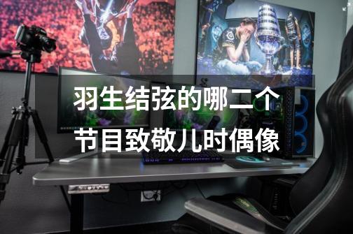 羽生结弦的哪二个节目致敬儿时偶像-第1张-游戏信息-龙启网