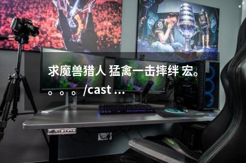 求魔兽猎人 猛禽一击+摔绊 宏。。。。/cast /use 都用不起。。。谢谢了-第1张-游戏信息-龙启网