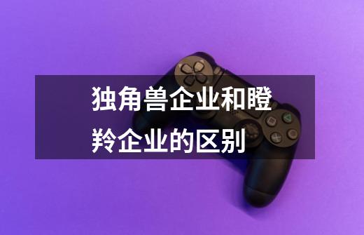 独角兽企业和瞪羚企业的区别-第1张-游戏信息-龙启网