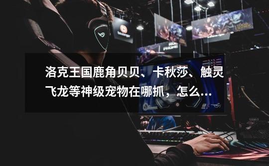 洛克王国鹿角贝贝、卡秋莎、触灵飞龙等神级宠物在哪抓,怎么练级-第1张-游戏信息-龙启网