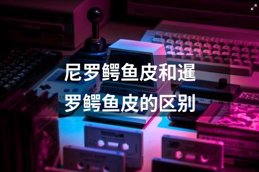 尼罗鳄鱼皮和暹罗鳄鱼皮的区别-第1张-游戏信息-龙启网