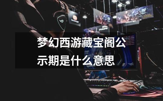 梦幻西游藏宝阁公示期是什么意思-第1张-游戏信息-龙启网