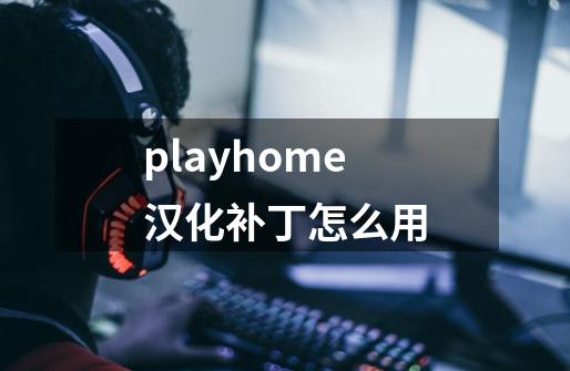 playhome汉化补丁怎么用-第1张-游戏信息-龙启网