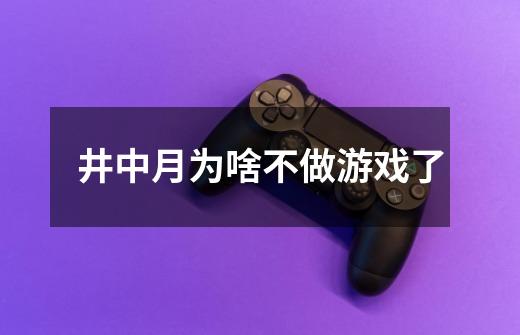 井中月为啥不做游戏了-第1张-游戏信息-龙启网