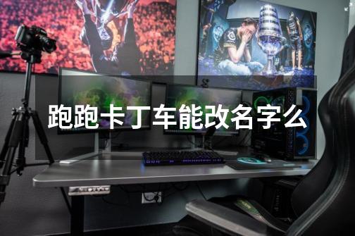 跑跑卡丁车能改名字么-第1张-游戏信息-龙启网