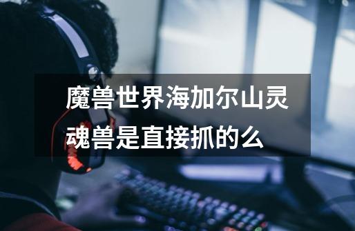 魔兽世界海加尔山灵魂兽是直接抓的么-第1张-游戏信息-龙启网