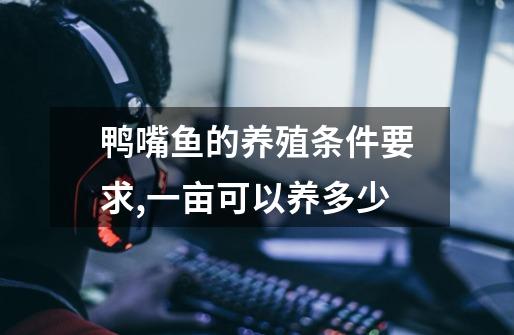 鸭嘴鱼的养殖条件要求,一亩可以养多少-第1张-游戏信息-龙启网