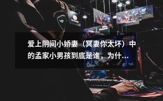 爱上阴间小娇妻(冥妻你太坏)中的孟家小男孩到底是谁,为什么后来就没有提到他-第1张-游戏信息-龙启网