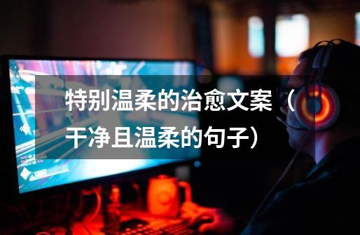 特别温柔的治愈文案(干净且温柔的句子)-第1张-游戏信息-龙启网