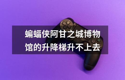 蝙蝠侠阿甘之城博物馆的升降梯升不上去-第1张-游戏信息-龙启网