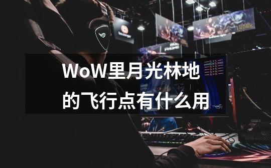 WoW里月光林地的飞行点有什么用-第1张-游戏信息-龙启网