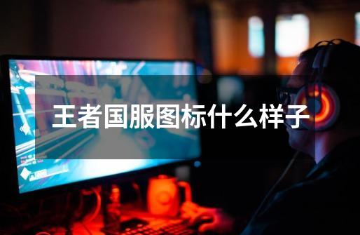 王者国服图标什么样子-第1张-游戏信息-龙启网