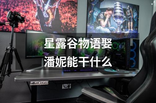 星露谷物语娶潘妮能干什么-第1张-游戏信息-龙启网