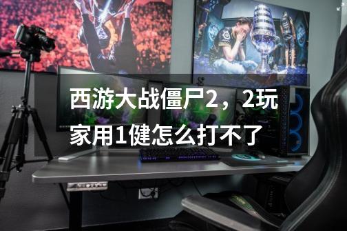 西游大战僵尸2，2玩家用1健怎么打不了-第1张-游戏信息-龙启网