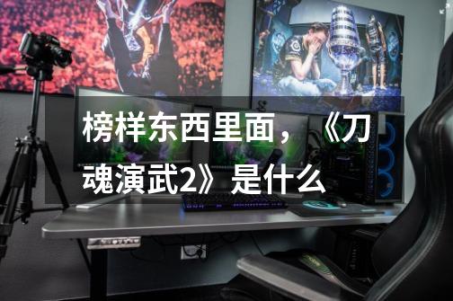 榜样东西里面,《刀魂演武2》是什么-第1张-游戏信息-龙启网