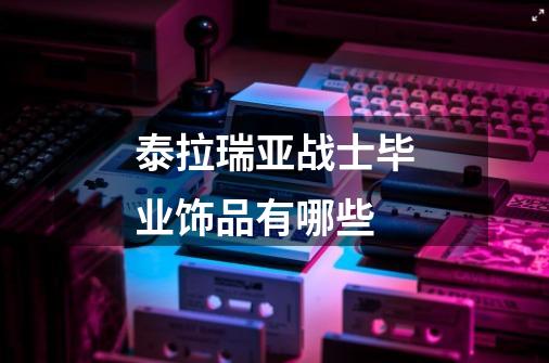 泰拉瑞亚战士毕业饰品有哪些-第1张-游戏信息-龙启网