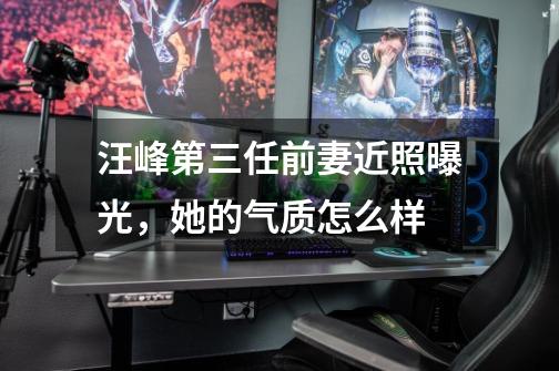 汪峰第三任前妻近照曝光,她的气质怎么样-第1张-游戏信息-龙启网