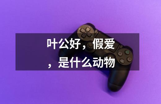 叶公好,假爱,是什么动物-第1张-游戏信息-龙启网