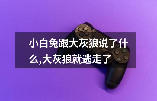 小白兔跟大灰狼说了什么,大灰狼就逃走了-第1张-游戏信息-龙启网