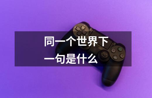 同一个世界下一句是什么-第1张-游戏信息-龙启网