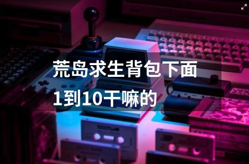荒岛求生背包下面1到10干嘛的-第1张-游戏信息-龙启网