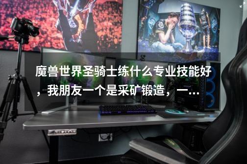 魔兽世界圣骑士练什么专业技能好,我朋友一个是采矿+锻造,一个是采药+炼金,一个是裁缝+附魔-第1张-游戏信息-龙启网