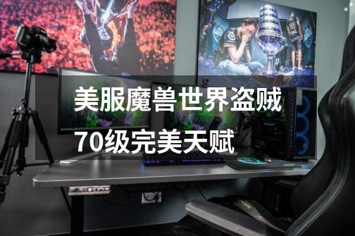 美服魔兽世界盗贼70级完美天赋-第1张-游戏信息-龙启网