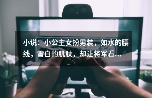 小说:小公主女扮男装,如水的腰线,雪白的肌肤,却让将军看痴了-第1张-游戏信息-龙启网