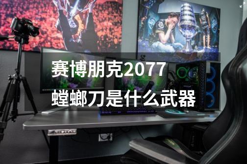 赛博朋克2077螳螂刀是什么武器-第1张-游戏信息-龙启网