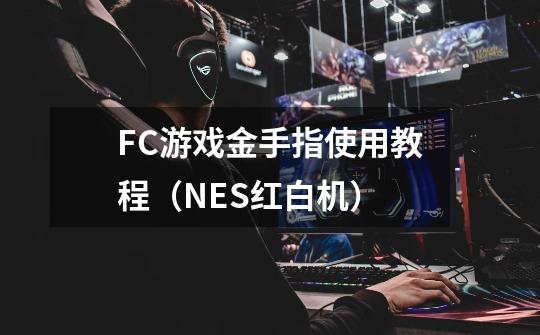 FC游戏金手指使用教程(NES红白机)-第1张-游戏信息-龙启网
